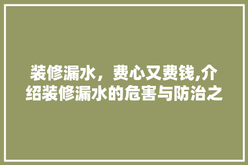 装修漏水，费心又费钱,介绍装修漏水的危害与防治之路