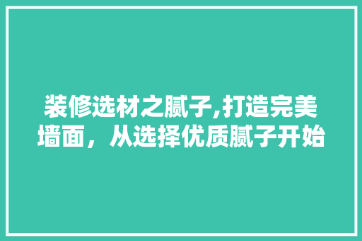 装修选材之腻子,打造完美墙面，从选择优质腻子开始