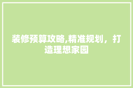 装修预算攻略,精准规划，打造理想家园