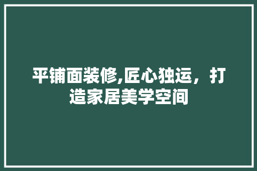 平铺面装修,匠心独运，打造家居美学空间