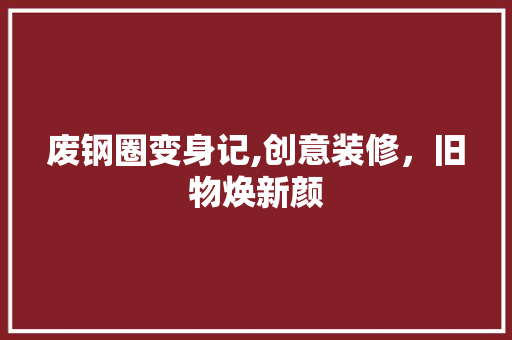 废钢圈变身记,创意装修，旧物焕新颜