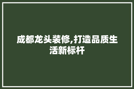 成都龙头装修,打造品质生活新标杆