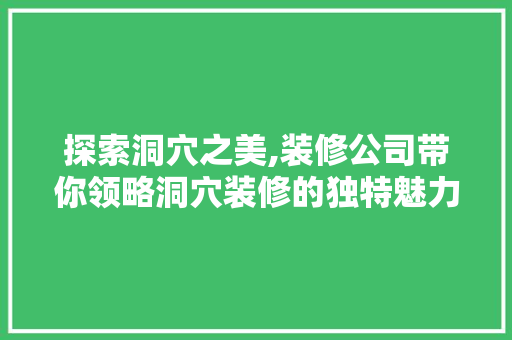 探索洞穴之美,装修公司带你领略洞穴装修的独特魅力