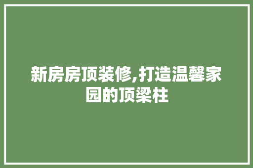 新房房顶装修,打造温馨家园的顶梁柱
