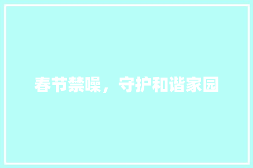 春节禁噪，守护和谐家园