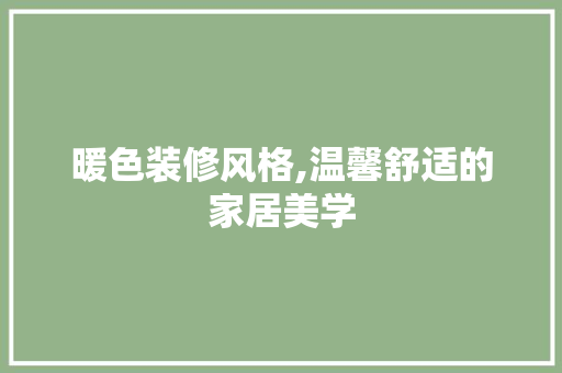 暖色装修风格,温馨舒适的家居美学