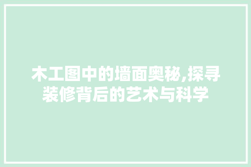 木工图中的墙面奥秘,探寻装修背后的艺术与科学