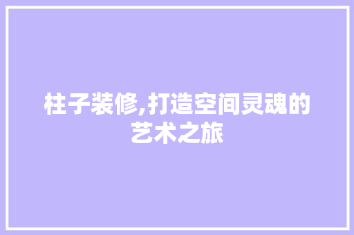 柱子装修,打造空间灵魂的艺术之旅