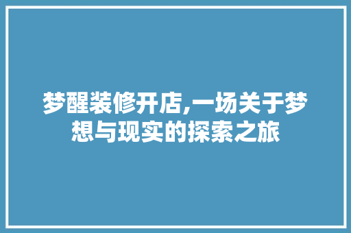 梦醒装修开店,一场关于梦想与现实的探索之旅