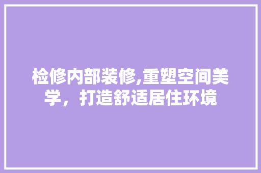 检修内部装修,重塑空间美学，打造舒适居住环境