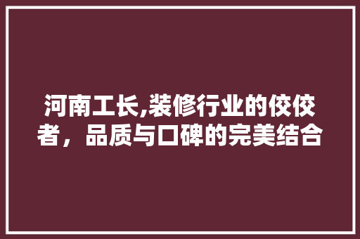 河南工长,装修行业的佼佼者，品质与口碑的完美结合