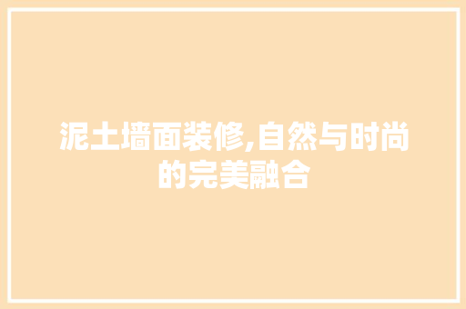 泥土墙面装修,自然与时尚的完美融合