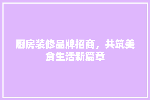 厨房装修品牌招商，共筑美食生活新篇章