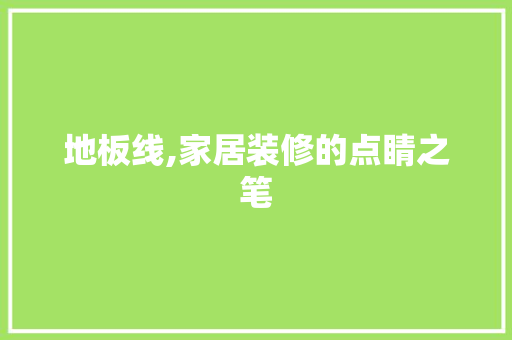 地板线,家居装修的点睛之笔