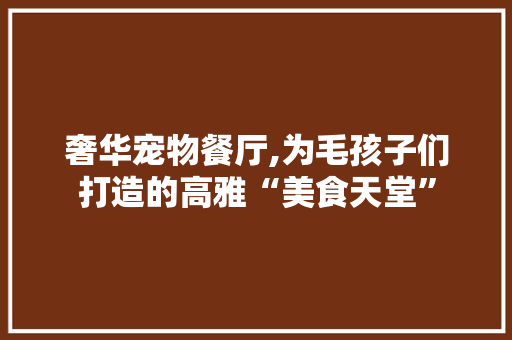 奢华宠物餐厅,为毛孩子们打造的高雅“美食天堂”