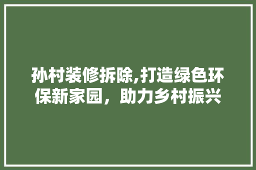 孙村装修拆除,打造绿色环保新家园，助力乡村振兴 复合门