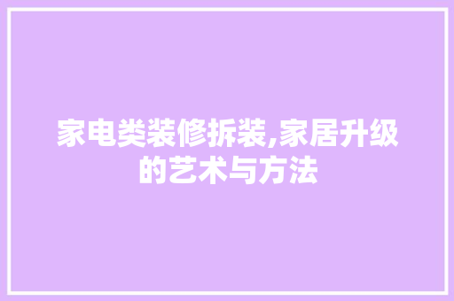 家电类装修拆装,家居升级的艺术与方法