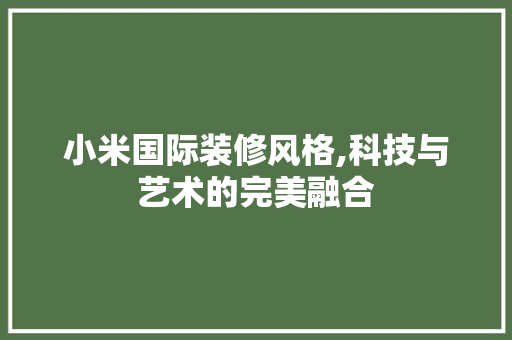 小米国际装修风格,科技与艺术的完美融合