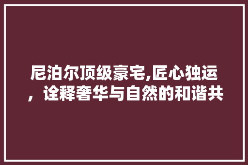 尼泊尔顶级豪宅,匠心独运，诠释奢华与自然的和谐共生