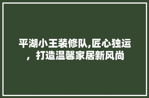 平湖小王装修队,匠心独运，打造温馨家居新风尚