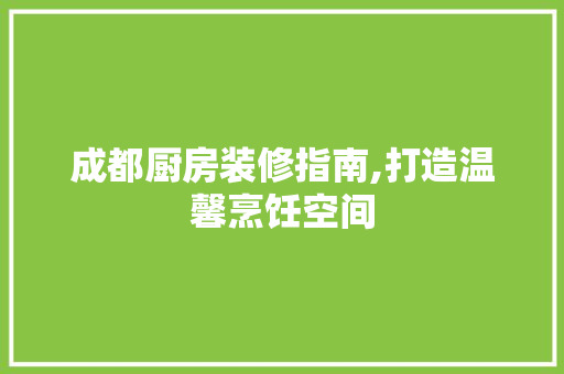 成都厨房装修指南,打造温馨烹饪空间