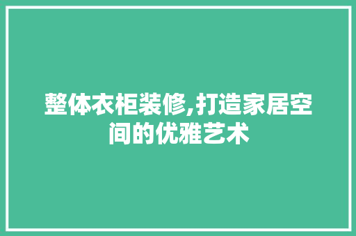 整体衣柜装修,打造家居空间的优雅艺术