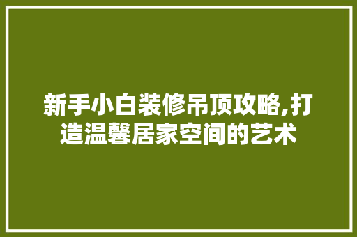 新手小白装修吊顶攻略,打造温馨居家空间的艺术