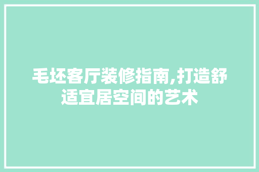 毛坯客厅装修指南,打造舒适宜居空间的艺术