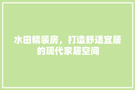 水田精装房，打造舒适宜居的现代家居空间