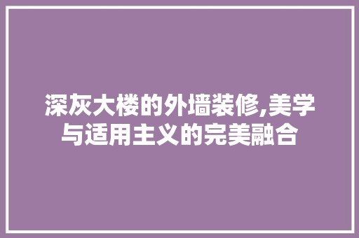 深灰大楼的外墙装修,美学与适用主义的完美融合