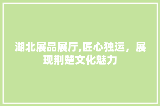 湖北展品展厅,匠心独运，展现荆楚文化魅力
