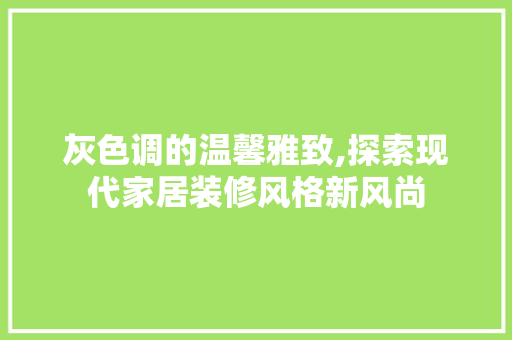 灰色调的温馨雅致,探索现代家居装修风格新风尚