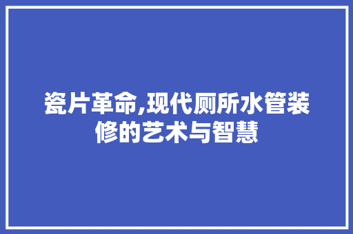 瓷片革命,现代厕所水管装修的艺术与智慧