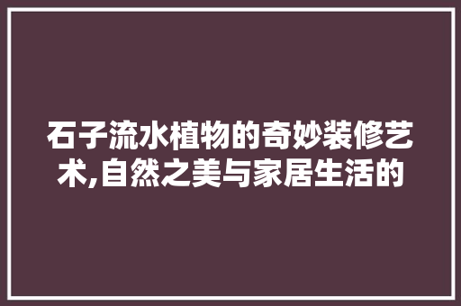 石子流水植物的奇妙装修艺术,自然之美与家居生活的和谐交融