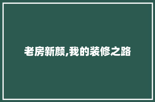 老房新颜,我的装修之路