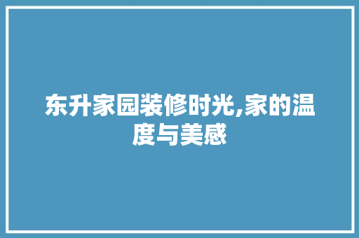 东升家园装修时光,家的温度与美感