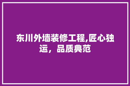 东川外墙装修工程,匠心独运，品质典范