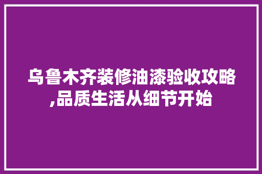 乌鲁木齐装修油漆验收攻略,品质生活从细节开始