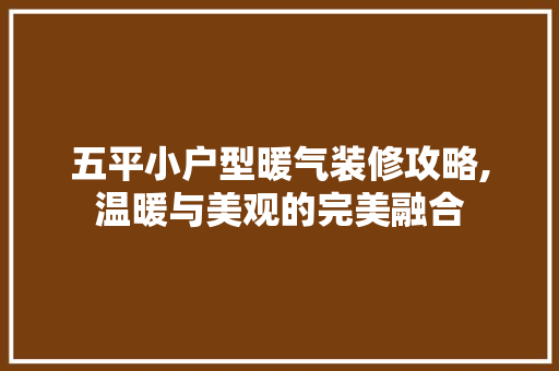 五平小户型暖气装修攻略,温暖与美观的完美融合