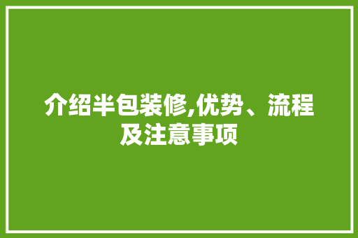 介绍半包装修,优势、流程及注意事项