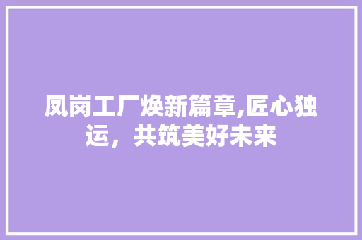 凤岗工厂焕新篇章,匠心独运，共筑美好未来