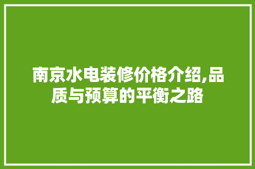 南京水电装修价格介绍,品质与预算的平衡之路