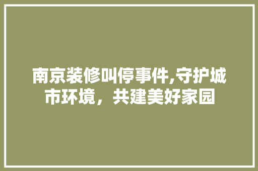 南京装修叫停事件,守护城市环境，共建美好家园