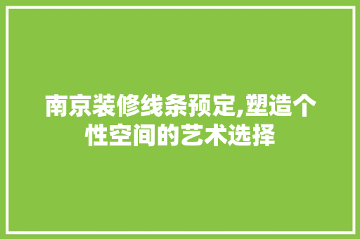南京装修线条预定,塑造个性空间的艺术选择