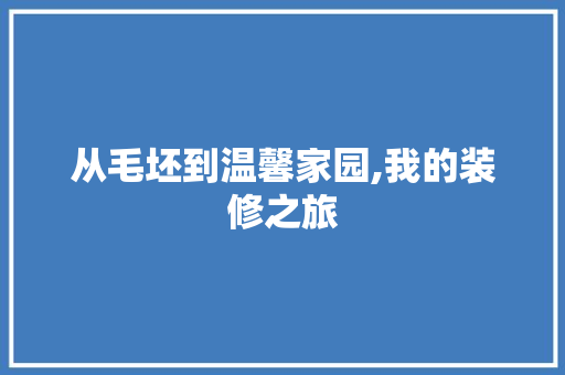 从毛坯到温馨家园,我的装修之旅