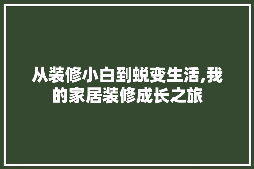 从装修小白到蜕变生活,我的家居装修成长之旅