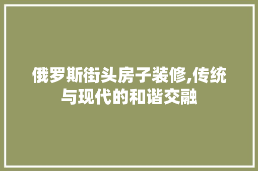 俄罗斯街头房子装修,传统与现代的和谐交融