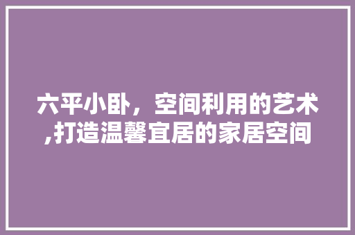 六平小卧，空间利用的艺术,打造温馨宜居的家居空间
