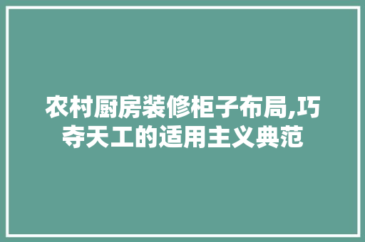 农村厨房装修柜子布局,巧夺天工的适用主义典范