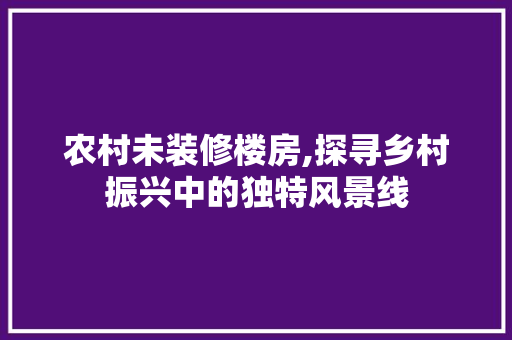农村未装修楼房,探寻乡村振兴中的独特风景线